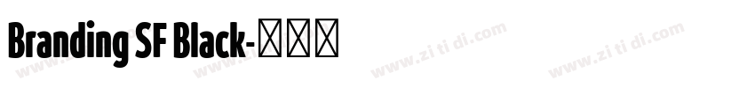 Branding SF Black字体转换